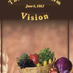 The Health Reform Vision (booklet)